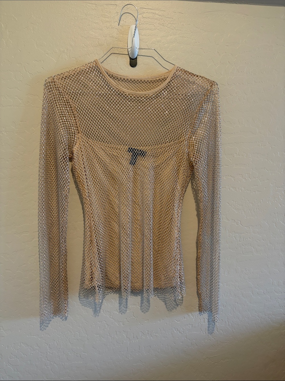 Aqua Sheer Mesh Long-Sleeve Top in Beige